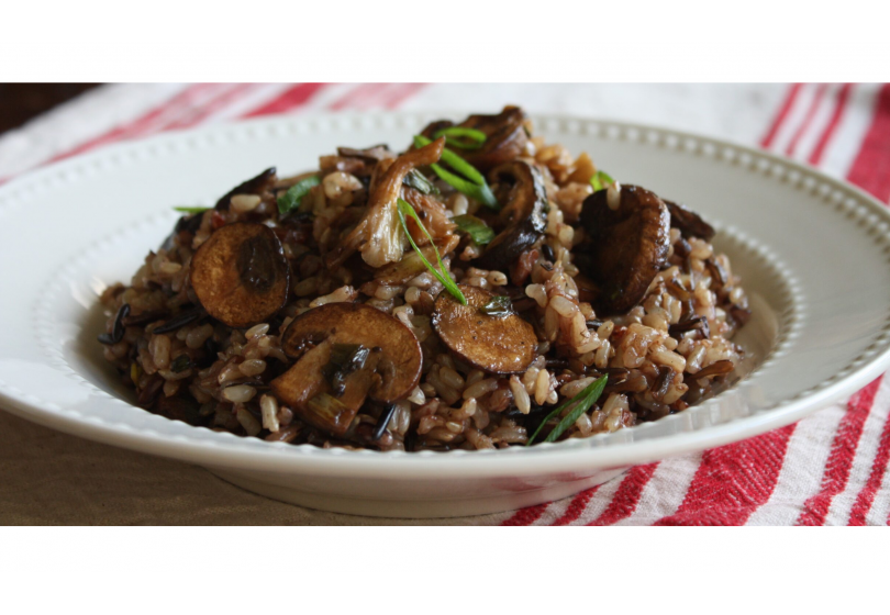 Pleurotus com arroz selvagem